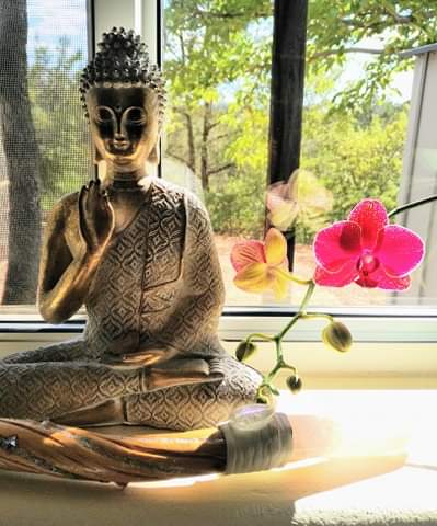 buddha in window with pink orchid